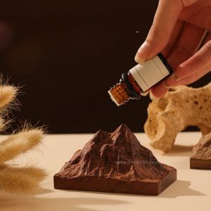 Figure 5-Aroma Wood Diffuser